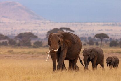 afrika-sicherste-reiseländer