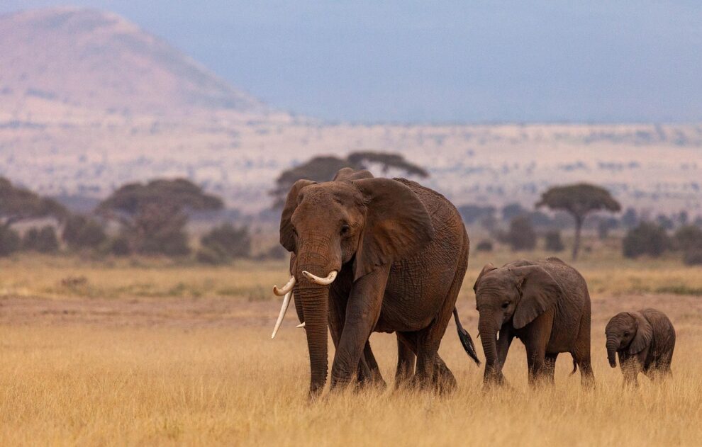 afrika-sicherste-reiseländer